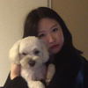 Jina Yeo profile image